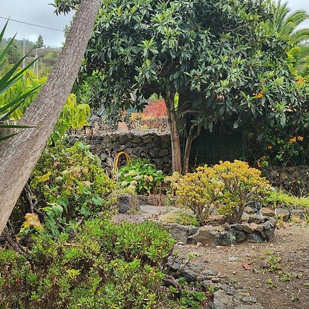 Oasis Hill Botanical Garden Villa อิคอดเดลอสวินอส ภายนอก รูปภาพ