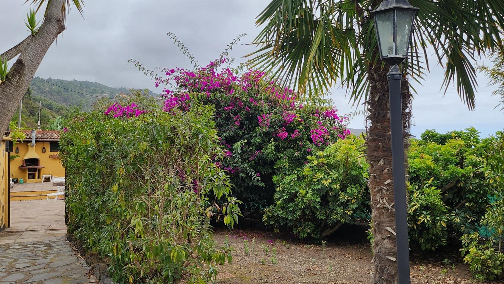 Oasis Hill Botanical Garden Villa อิคอดเดลอสวินอส ภายนอก รูปภาพ