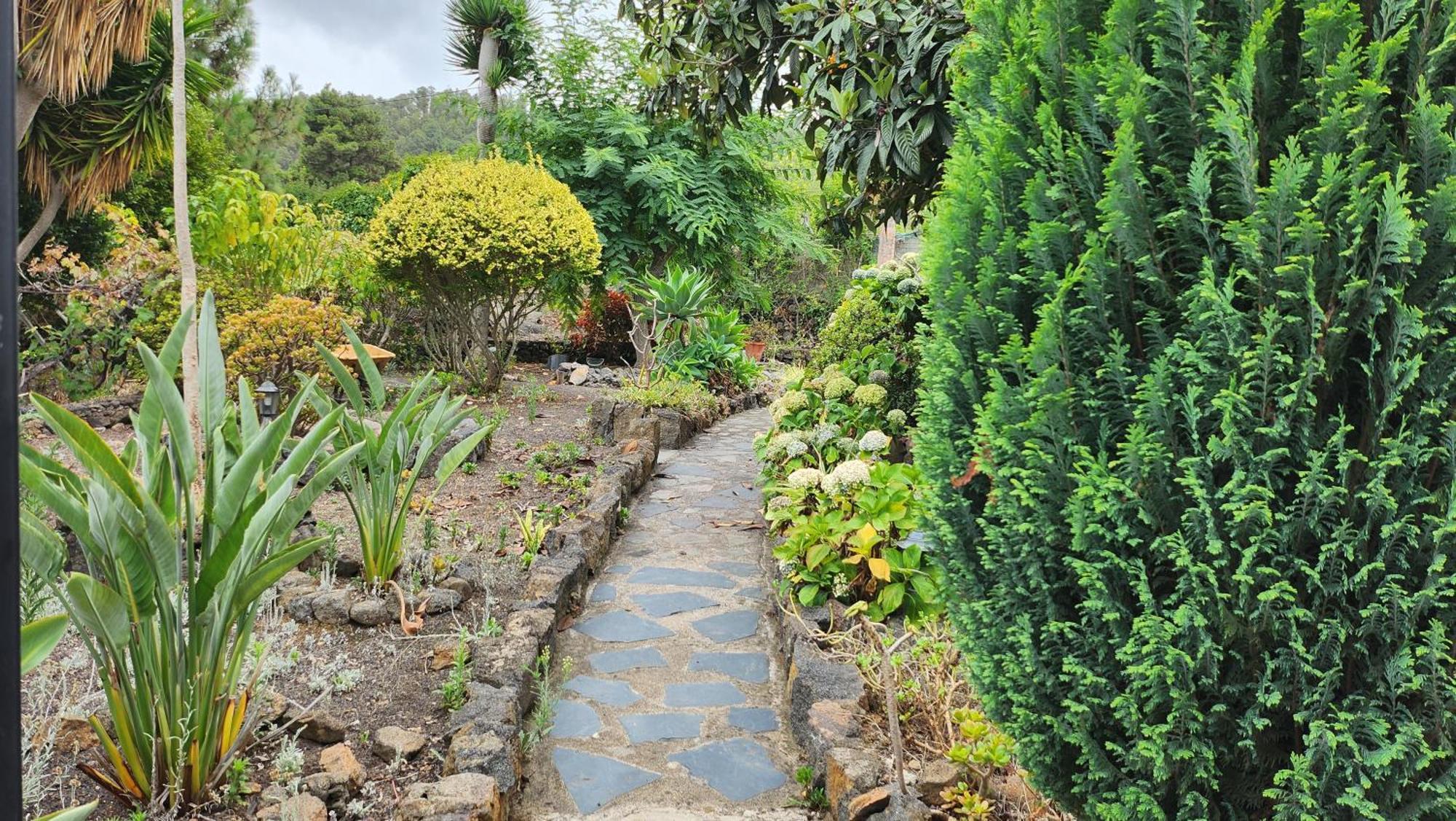Oasis Hill Botanical Garden Villa อิคอดเดลอสวินอส ภายนอก รูปภาพ