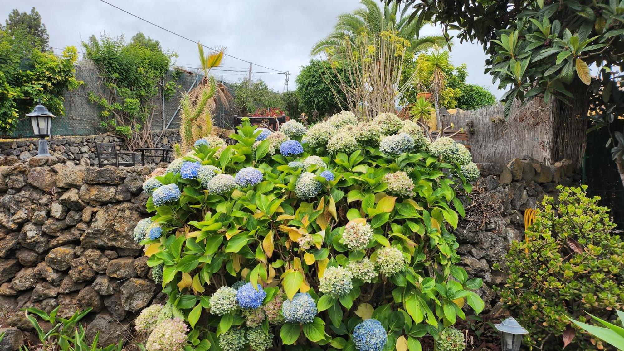 Oasis Hill Botanical Garden Villa อิคอดเดลอสวินอส ภายนอก รูปภาพ
