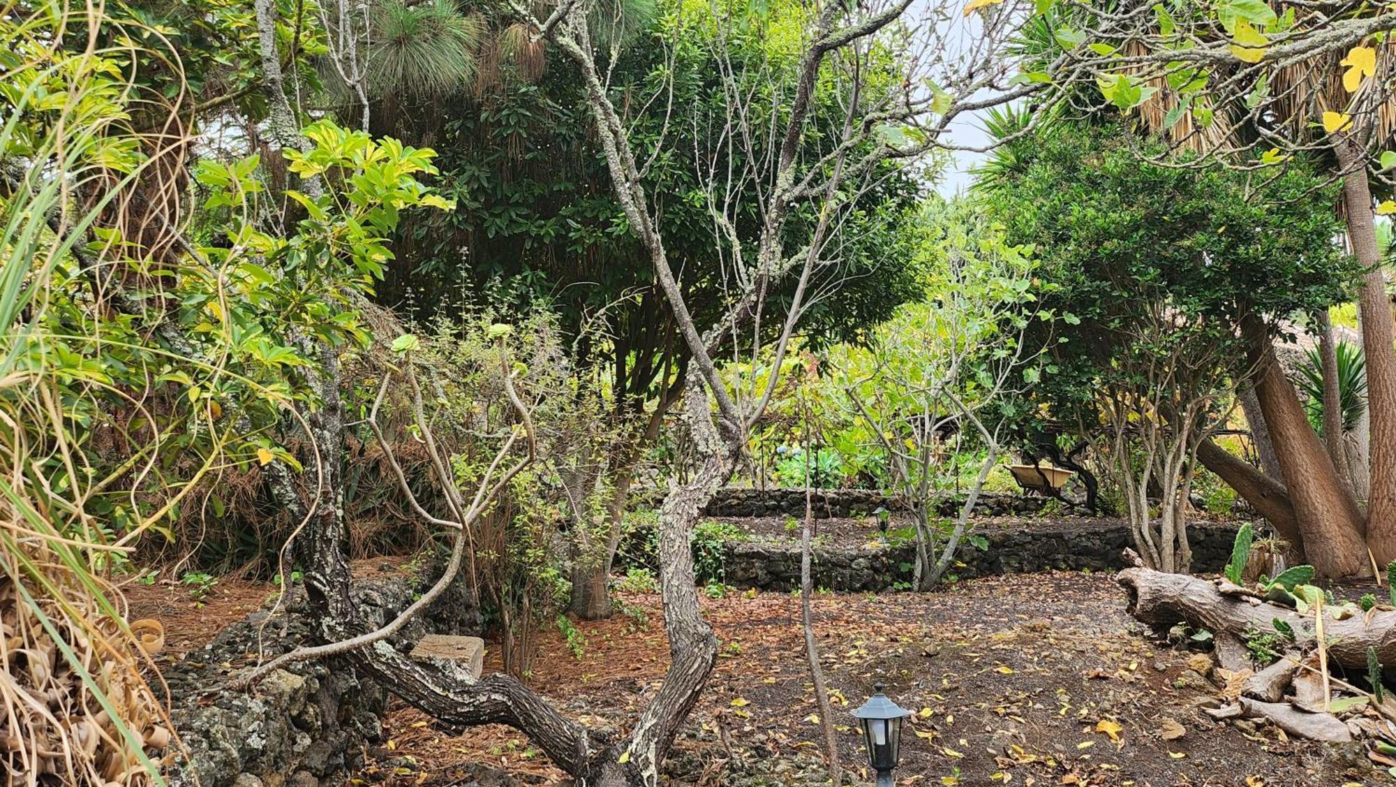 Oasis Hill Botanical Garden Villa อิคอดเดลอสวินอส ภายนอก รูปภาพ