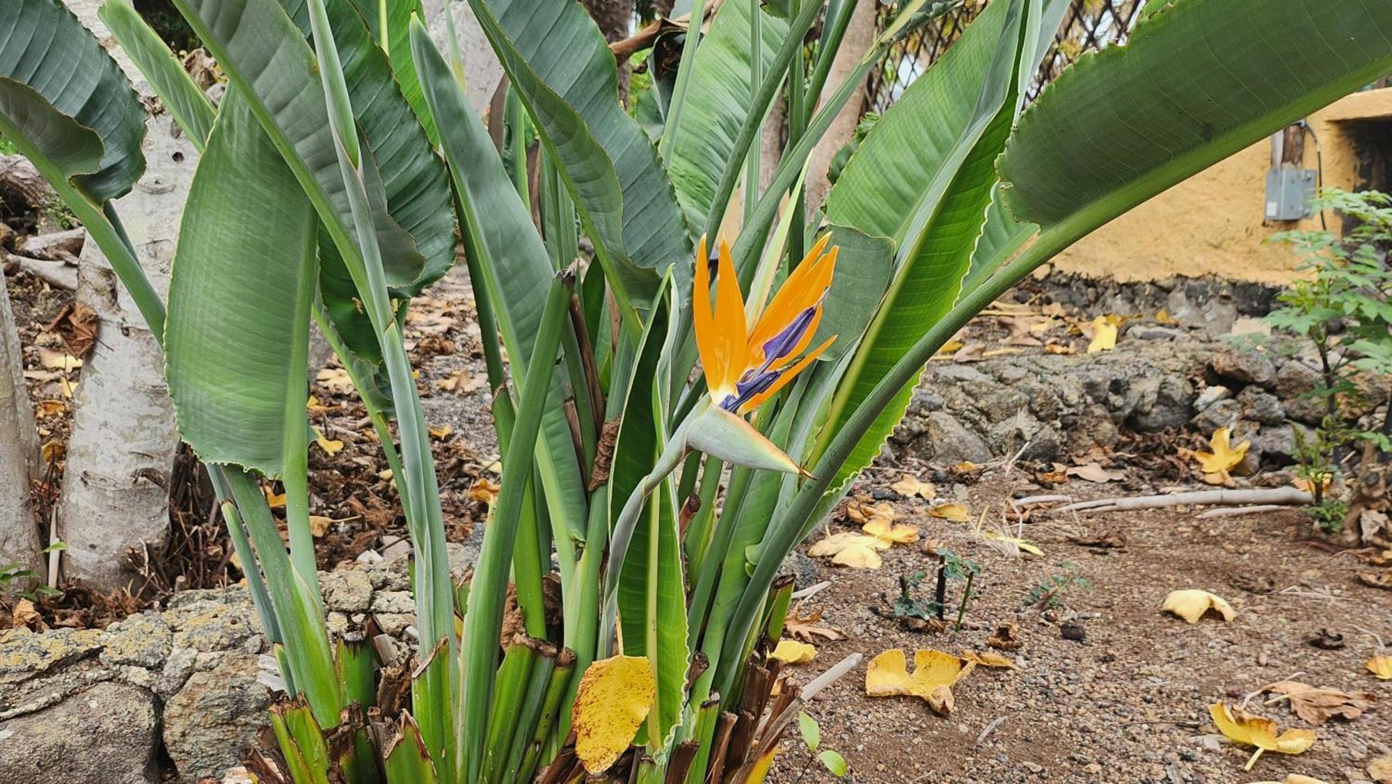 Oasis Hill Botanical Garden Villa อิคอดเดลอสวินอส ภายนอก รูปภาพ