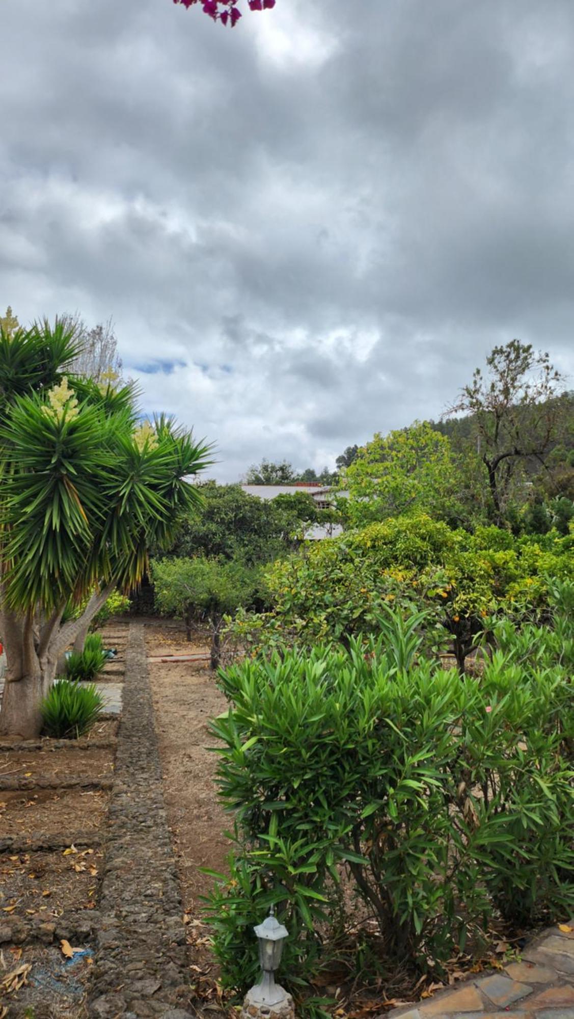 Oasis Hill Botanical Garden Villa อิคอดเดลอสวินอส ภายนอก รูปภาพ